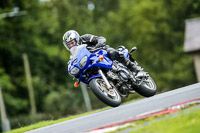 PJ-Motorsport-2019;anglesey;brands-hatch;cadwell-park;croft;donington-park;enduro-digital-images;event-digital-images;eventdigitalimages;mallory;no-limits;oulton-park;peter-wileman-photography;racing-digital-images;silverstone;snetterton;trackday-digital-images;trackday-photos;vmcc-banbury-run;welsh-2-day-enduro